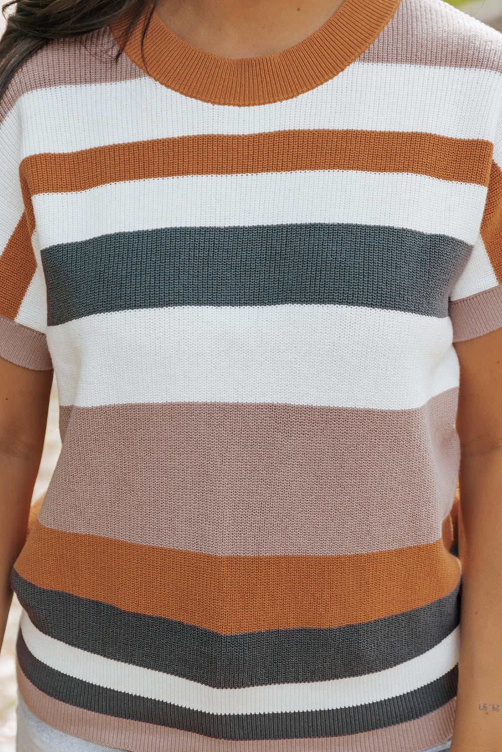 Camel Striped Knit Crew Neck T Shirt Sweater - PrizQ